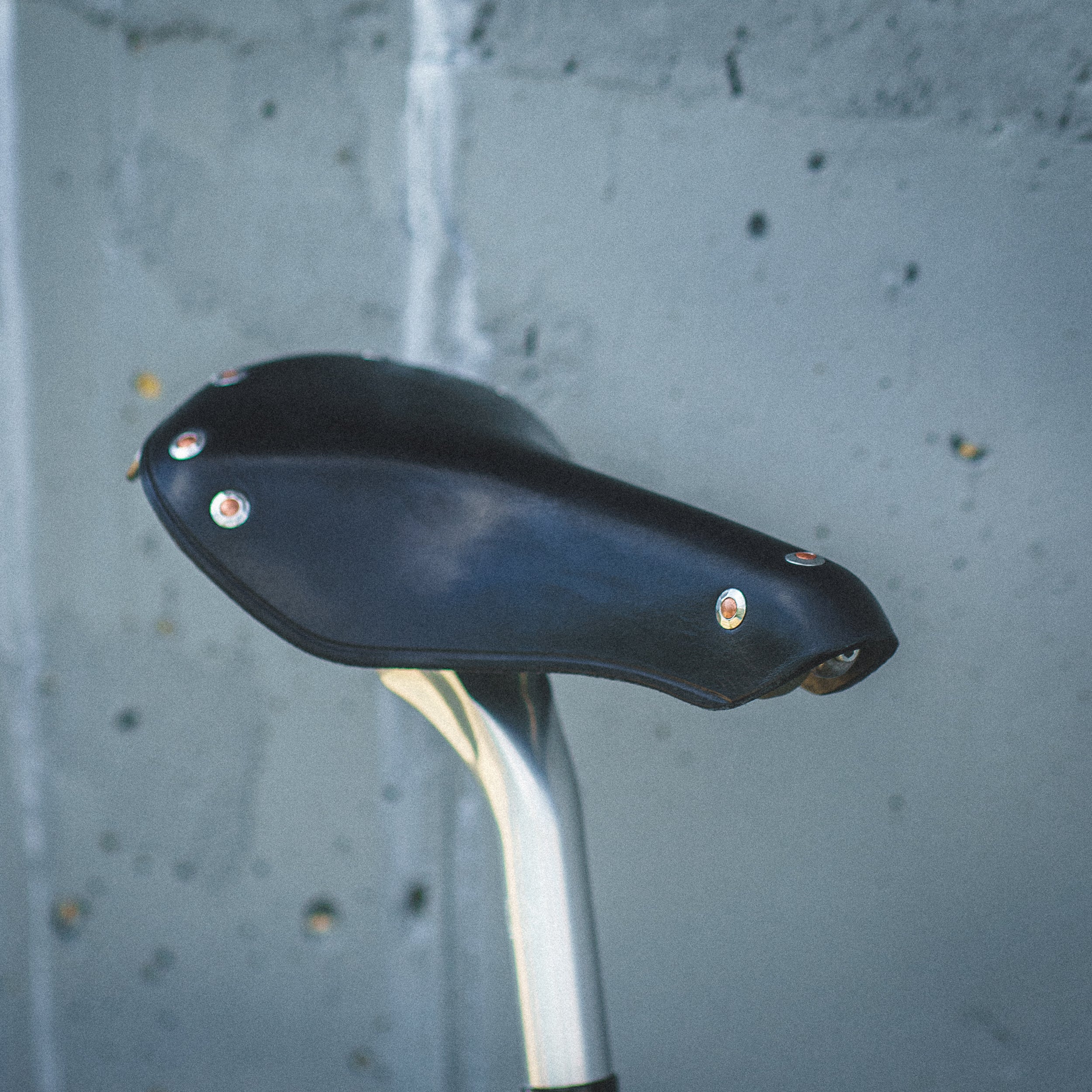 Model 1 Spirited Saddle - Image 3